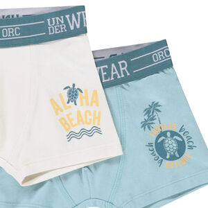Lot de 5 boxers motifs Turtle Island garçon 