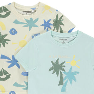 Lot de 2 t-shirts manches courtes fantaisie garçon 