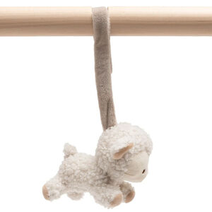 Aktiviteitenspiraal Woolly 