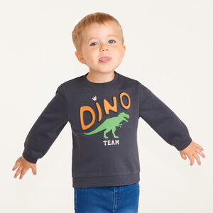 Sweatshirt voor baby jongens met fantasieprint 