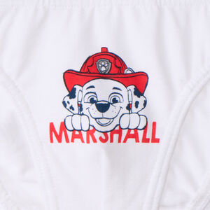 Lot de 3 slips printés Pat'Patrouille pour garçon 