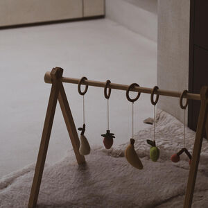 Activity toy set Activity Arch niet inbegrepen 5 stks Fruit 