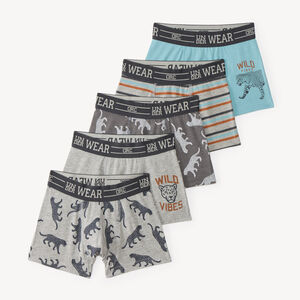 Set van 5 jongensboxershorts met dierenprints en strepen 