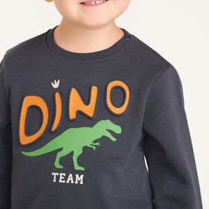 Sweatshirt voor baby jongens met fantasieprint 