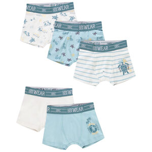 Lot de 5 boxers motifs Turtle Island garçon 