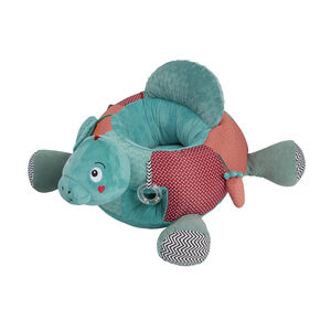 Activitekussen Sacha de Schildpad 
