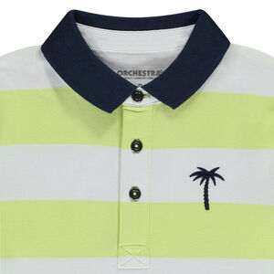Polo manches courtes rayé broderie palmier pour garçon 