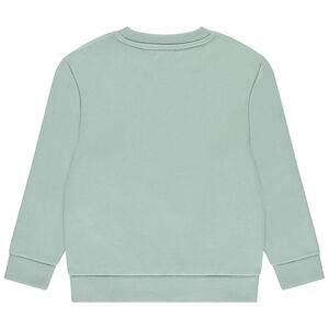 Sweatshirt van fleece met fantasieprint voor jongens 