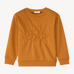 Fleece gevoerd sweatshirt voor jongens 
