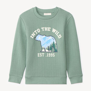 Sweat voor jongens in textuurgebreide stof met fantasieprint 