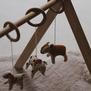 Set jouets d'activité Arche non-inclus 5 pcs Chien 