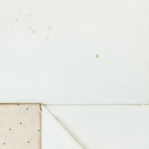 Slaapzak 70 x 160 cm - Dromers Band 