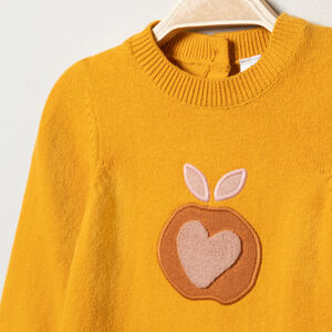 Robe manches longues en tricot pour bébé fille 