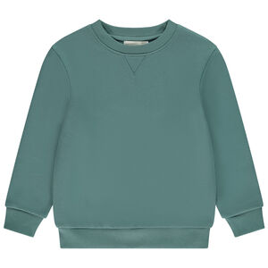 Sweat en molleton gratté uni pour garçon 