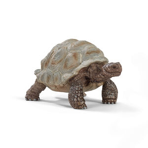 Figurine tortue géante 