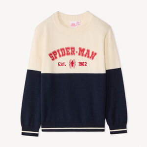 Pull bicolore Spider-Man Marvel pour garçon 