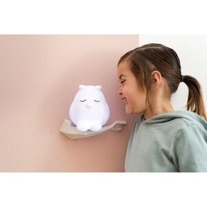 Nachtlamp - Oscar de uil - Wit - USB oplaadbaar  