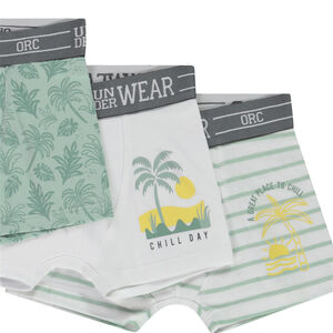 Lot de 5 boxers fantaisie garçon 