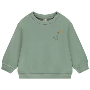 Sweatshirt met lange mouwen in fleece met dinosaurusprint voor babyjongen 