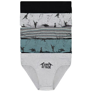 Lot de 5 slips en jersey print dinosaures garçon 