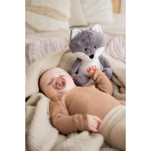 Hartslagknuffel - Robin de Vos - Grijs 