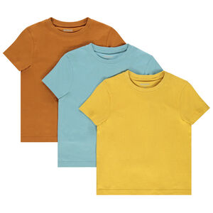 Lot de 3 t-shirts manches courtes print palmier pour garçon 