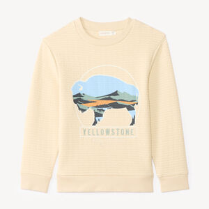 Sweat voor jongens in textuurgebreide stof met fantasieprint 