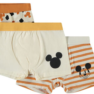 Lot van 3 fantasie boxershorts Mickey Disney voor jongen 