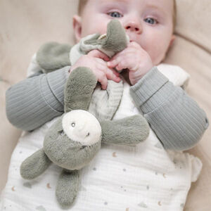 Mini doudou Âne 25cm Vert Tilleul 