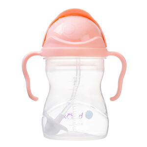 Gobelet Sippy avec paille innovante 240ml Tutti Frutti 6m+ 