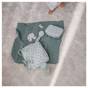 Set brosse et peigne Birdies 