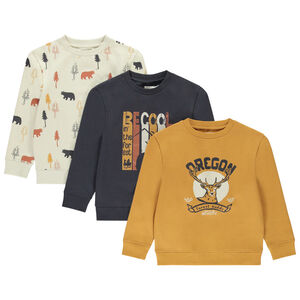 Lot de 3 sweats molleton motifs fantaisie pour garçon 