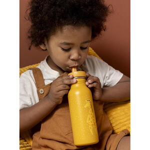 Drinkfles van roestvrij staal 500ml Mr. Giraffe 