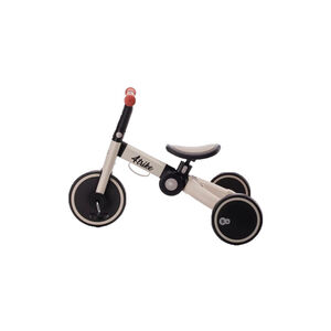 Draisienne 4Trike Silver Grey 