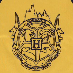 Lange mouwen raglan T-shirt in jersey met Harry Potter print Warner 