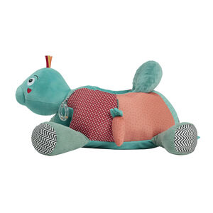 Activitekussen Sacha de Schildpad 