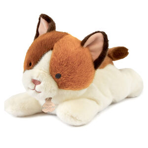 Peluche lestée Les P’tits Relax 30CM Chat 