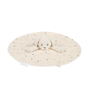 Plat konijnenknuffel - Droomband 