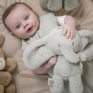Peluche Eléphant 30cm Vert Tilleul 