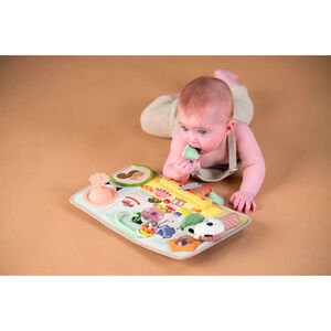 Activiteitenbord Peek Pop & Play 