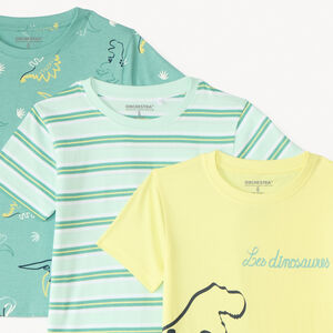 Lot de 3 t-shirts manches courtes motif dinosaures pour garçon  