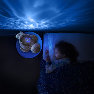 Projecteur phoque Aqua Dream gris 