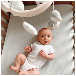 Mobile musicale Pingouin 0m+ 