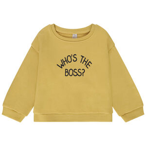 Sweat oversize molletonné print fantaisie pour bébé garçon 