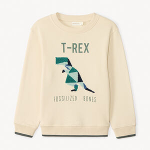 Sweat molleton avec broderie effet bouclette pour garçon  