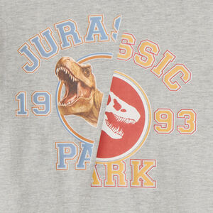 T-shirt met lange mouwen, met fantasierijke dinosaurusprint voor jongens 