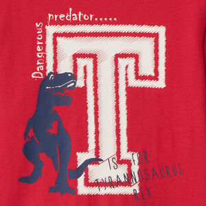 T-shirt met lange mouwen en fantasieprint jongens 