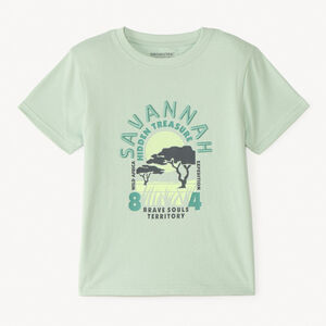 T-shirt manches courtes uni print et broderie estival fantaisie pour garçon 