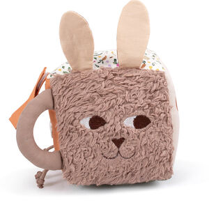 Activiteiten Kubus Carrot Thief 0-24m 