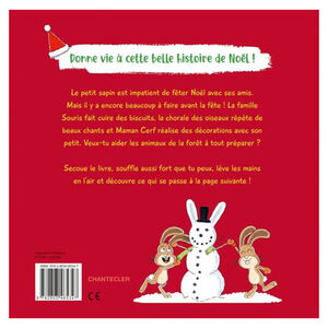Boek FR Secoue le petit sapin de Noël +3J 